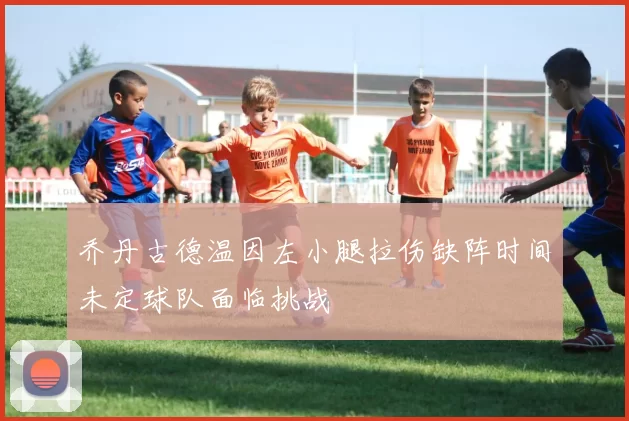 乔丹古德温因左小腿拉伤缺阵时间未定球队面临挑战