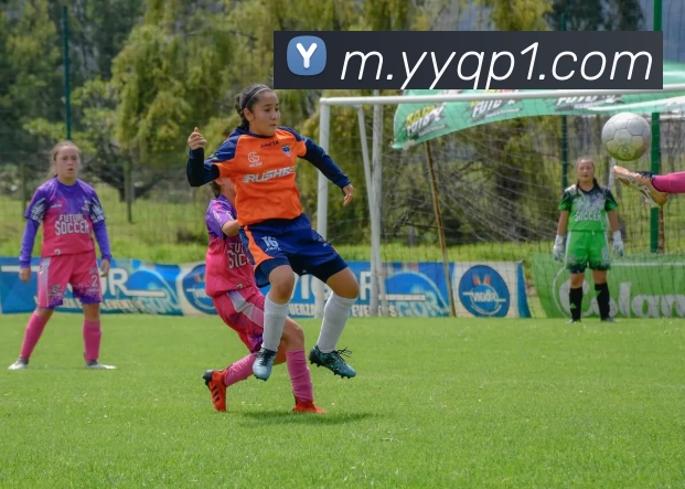 元游棋牌 品牌故事